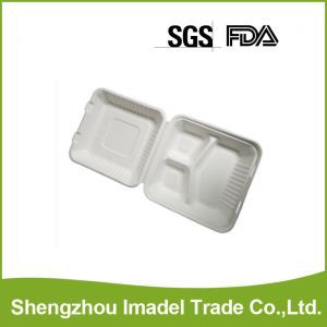 Sukkerrør engangs Container